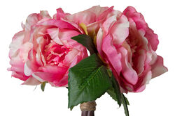 BUKET CICEK PEONY (LY63025) (36) - Thumbnail