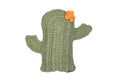 CACTUS KIRLENT YESIL 45x40xcm